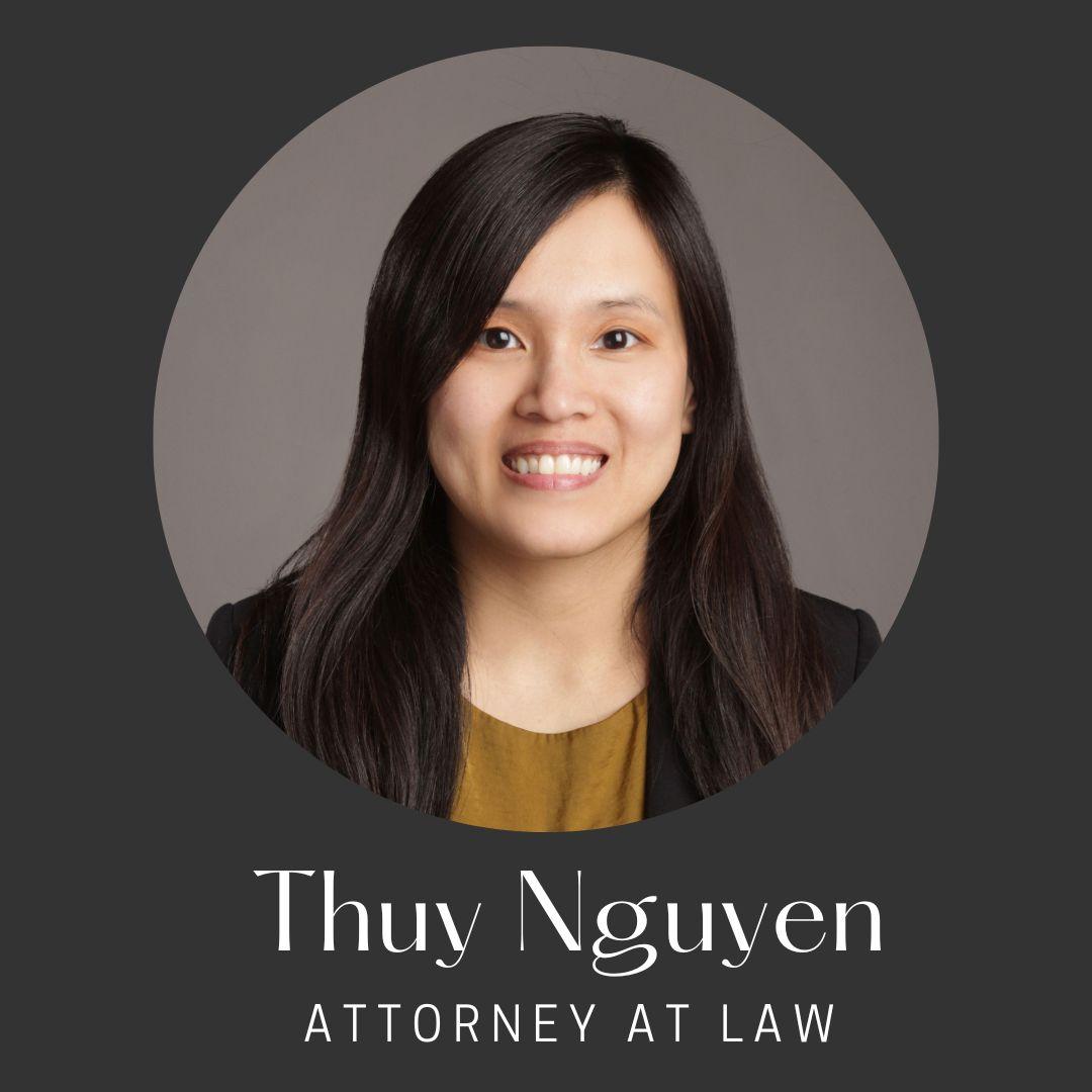 Law Office of Theresa Nguyen, PLLC - Thuy Nguyen - Vietnamese Lawyer - Immigration, Business, Real Estate, Estate Planning, Tax